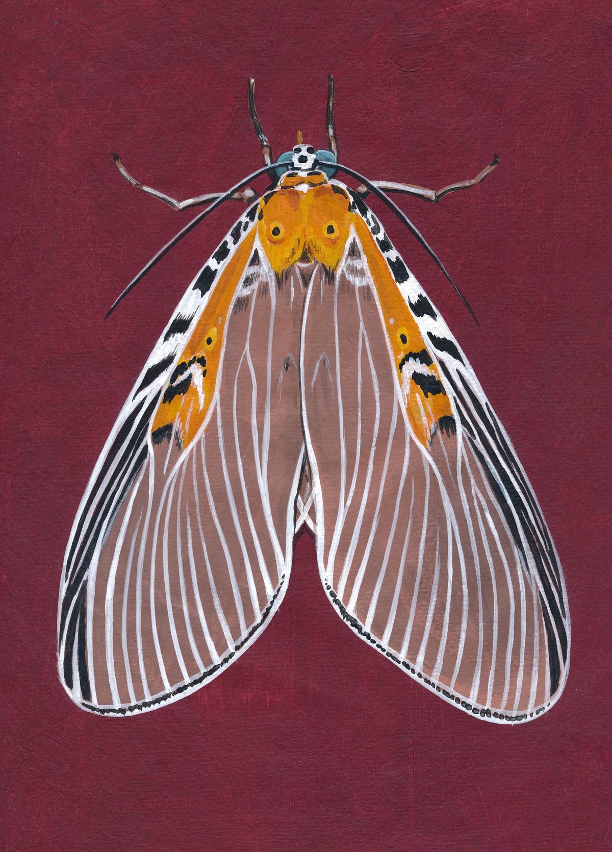 Original Moth Painting on Handmade Paper – Colorful Moths Series – Acrylic on Deckle Edge Paper – Nature Art Wall Decor
