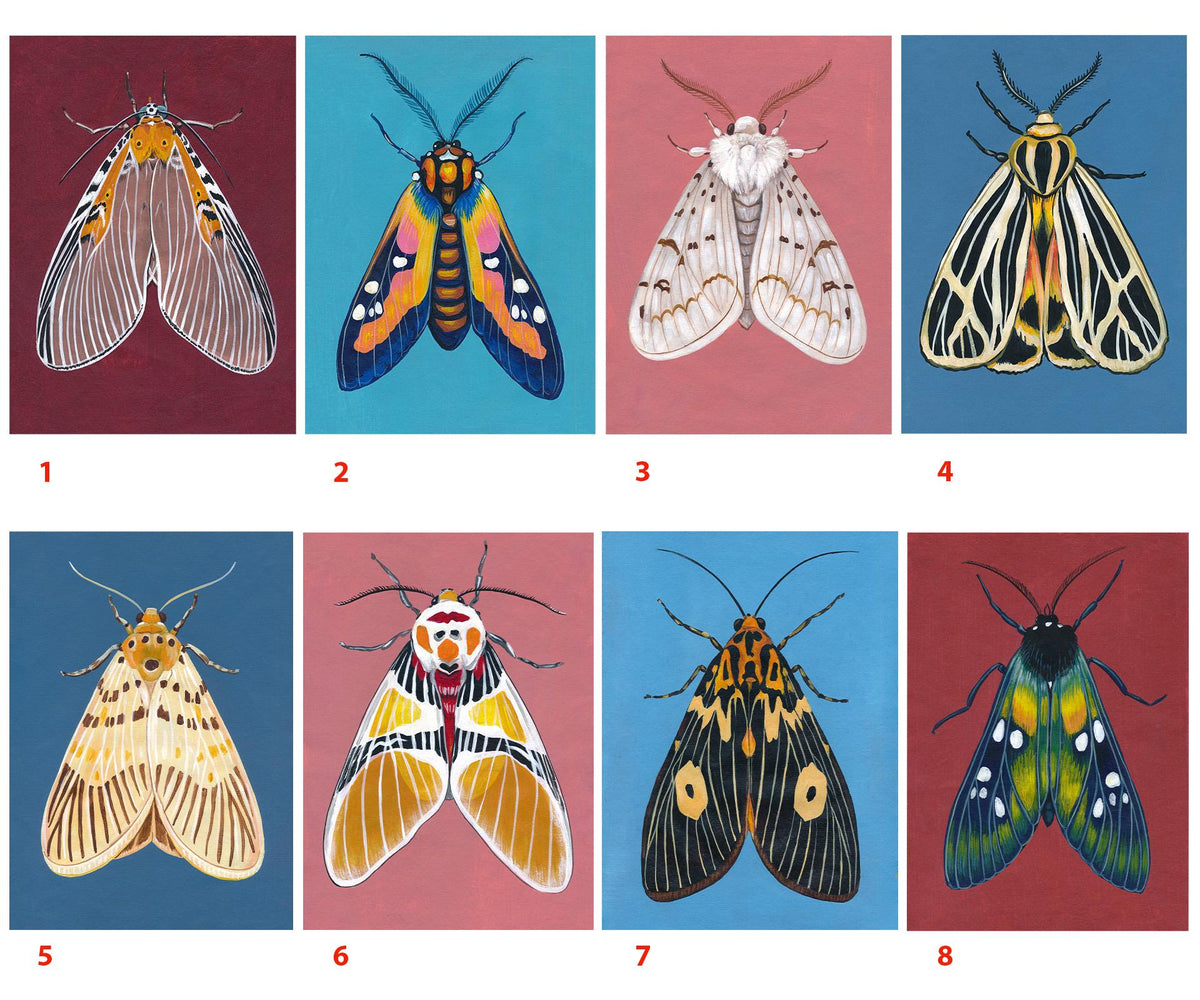 Original Moth Painting on Handmade Paper – Colorful Moths Series – Acrylic on Deckle Edge Paper – Nature Art Wall Decor