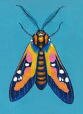 Original Moth Painting on Handmade Paper – Colorful Moths Series – Acrylic on Deckle Edge Paper – Nature Art Wall Decor