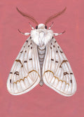 Original Moth Painting on Handmade Paper – Colorful Moths Series – Acrylic on Deckle Edge Paper – Nature Art Wall Decor