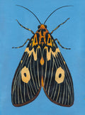 Original Moth Painting on Handmade Paper – Colorful Moths Series – Acrylic on Deckle Edge Paper – Nature Art Wall Decor