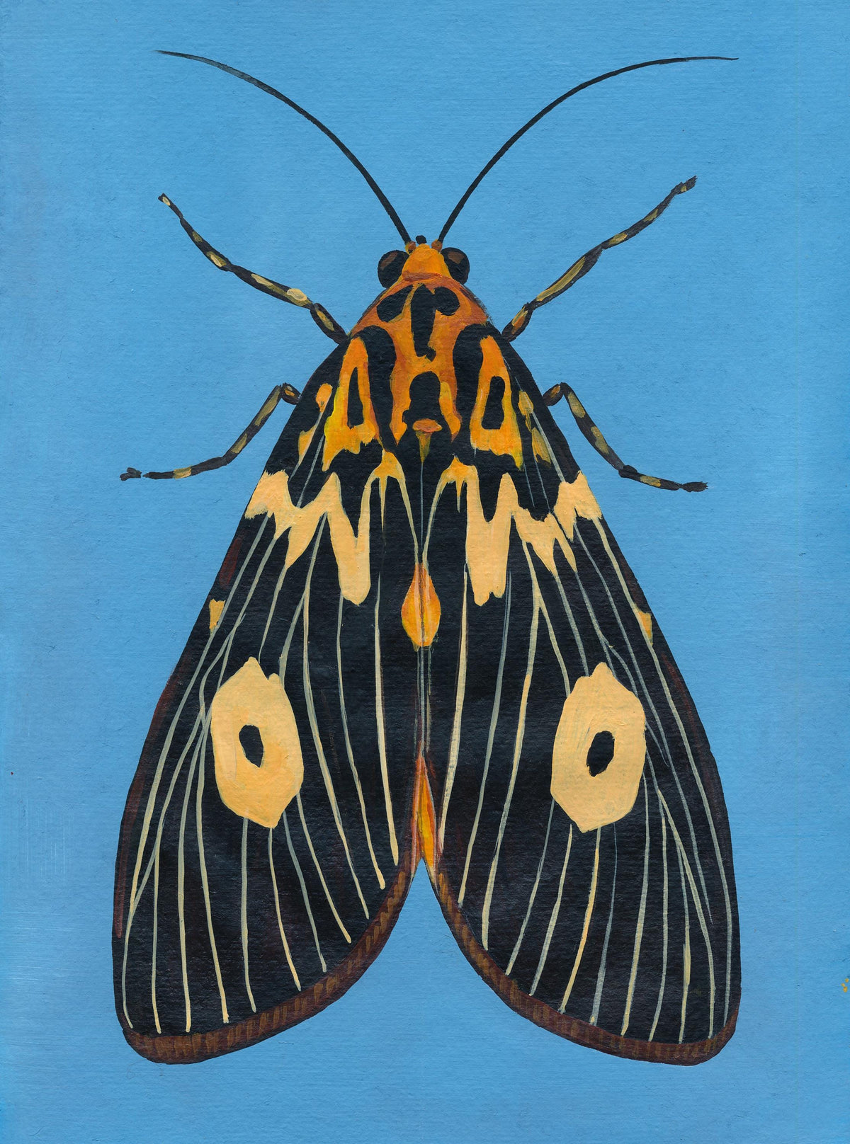 Original Moth Painting on Handmade Paper – Colorful Moths Series – Acrylic on Deckle Edge Paper – Nature Art Wall Decor