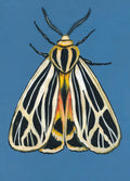 Original Moth Painting on Handmade Paper – Colorful Moths Series – Acrylic on Deckle Edge Paper – Nature Art Wall Decor
