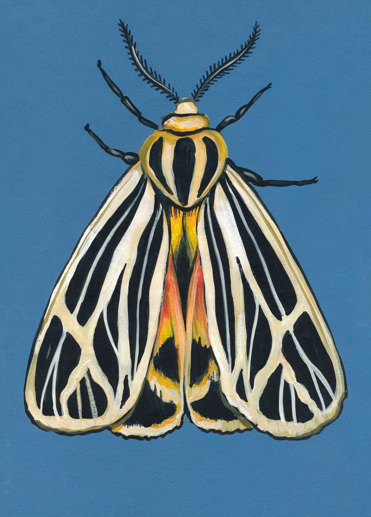 Original Moth Painting on Handmade Paper – Colorful Moths Series – Acrylic on Deckle Edge Paper – Nature Art Wall Decor