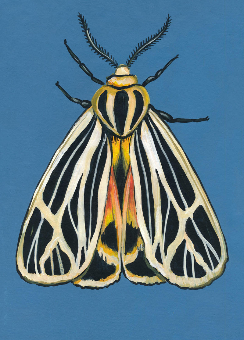 Original Moth Painting on Handmade Paper – Colorful Moths Series – Acrylic on Deckle Edge Paper – Nature Art Wall Decor