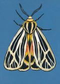 Original Moth Painting on Handmade Paper – Colorful Moths Series – Acrylic on Deckle Edge Paper – Nature Art Wall Decor