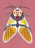 Original Moth Painting on Handmade Paper – Colorful Moths Series – Acrylic on Deckle Edge Paper – Nature Art Wall Decor
