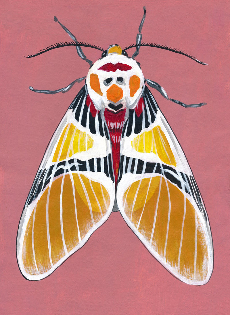 Original Moth Painting on Handmade Paper – Colorful Moths Series – Acrylic on Deckle Edge Paper – Nature Art Wall Decor