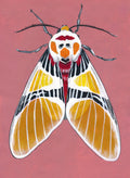 Original Moth Painting on Handmade Paper – Colorful Moths Series – Acrylic on Deckle Edge Paper – Nature Art Wall Decor