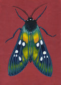 Original Moth Painting on Handmade Paper – Colorful Moths Series – Acrylic on Deckle Edge Paper – Nature Art Wall Decor