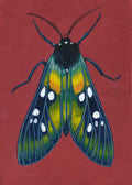 Original Moth Painting on Handmade Paper – Colorful Moths Series – Acrylic on Deckle Edge Paper – Nature Art Wall Decor