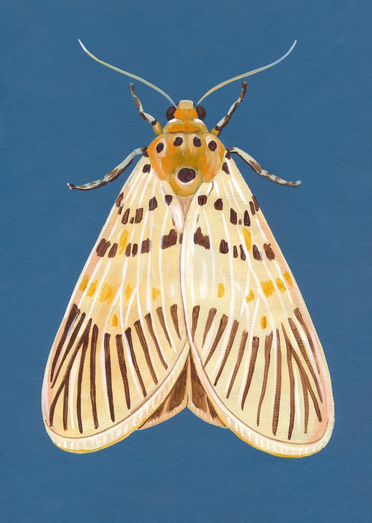 Original Moth Painting on Handmade Paper – Colorful Moths Series – Acrylic on Deckle Edge Paper – Nature Art Wall Decor