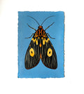 Original Moth Painting on Handmade Paper – Colorful Moths Series – Acrylic on Deckle Edge Paper – Nature Art Wall Decor