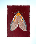 Original Moth Painting on Handmade Paper – Colorful Moths Series – Acrylic on Deckle Edge Paper – Nature Art Wall Decor